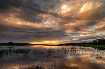 Conocido por su proximidad a