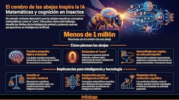 Infografía que ilustra cómo el cerebro de las abejas inspira la IA, mostrando una abeja con un cerebro iluminado y conexiones neuronales con circuitos de IA y números.