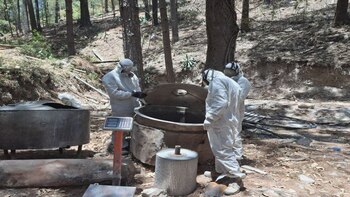 Agentes con trajes especiales revisando