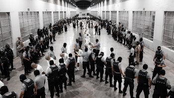 Liberaron a más de 10