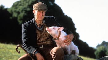 500 animales actores, diez años