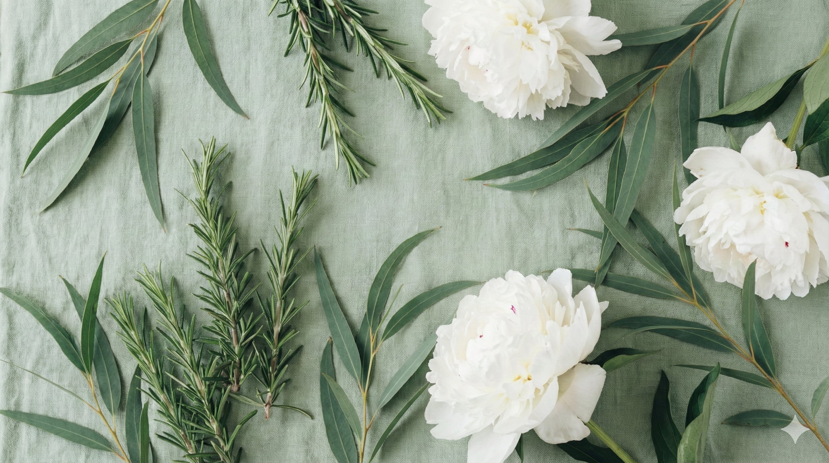 El romero ofrece beneficios extra para el cabello femenino, como fortalecer, dar brillo, aportar vitaminas y flexibilidad a cabellos teñidos o dañados.Crédito: Infobae / Gemini / Imagen Ilustrativa