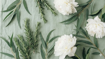 El ritual de baño con