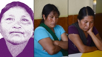 Gobierno de México acepta responsabilidad