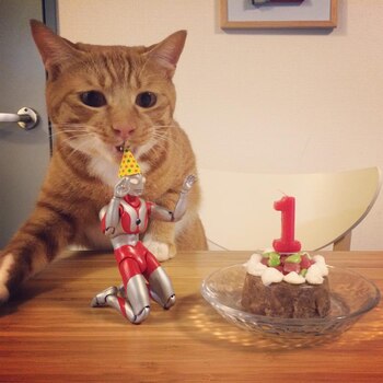 Koma y Ultraman celebrando el