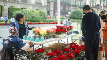 Este 2022 se produjeron 1