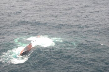 Las autoridades marítimas iniciaron con