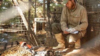 Lo importante es que el