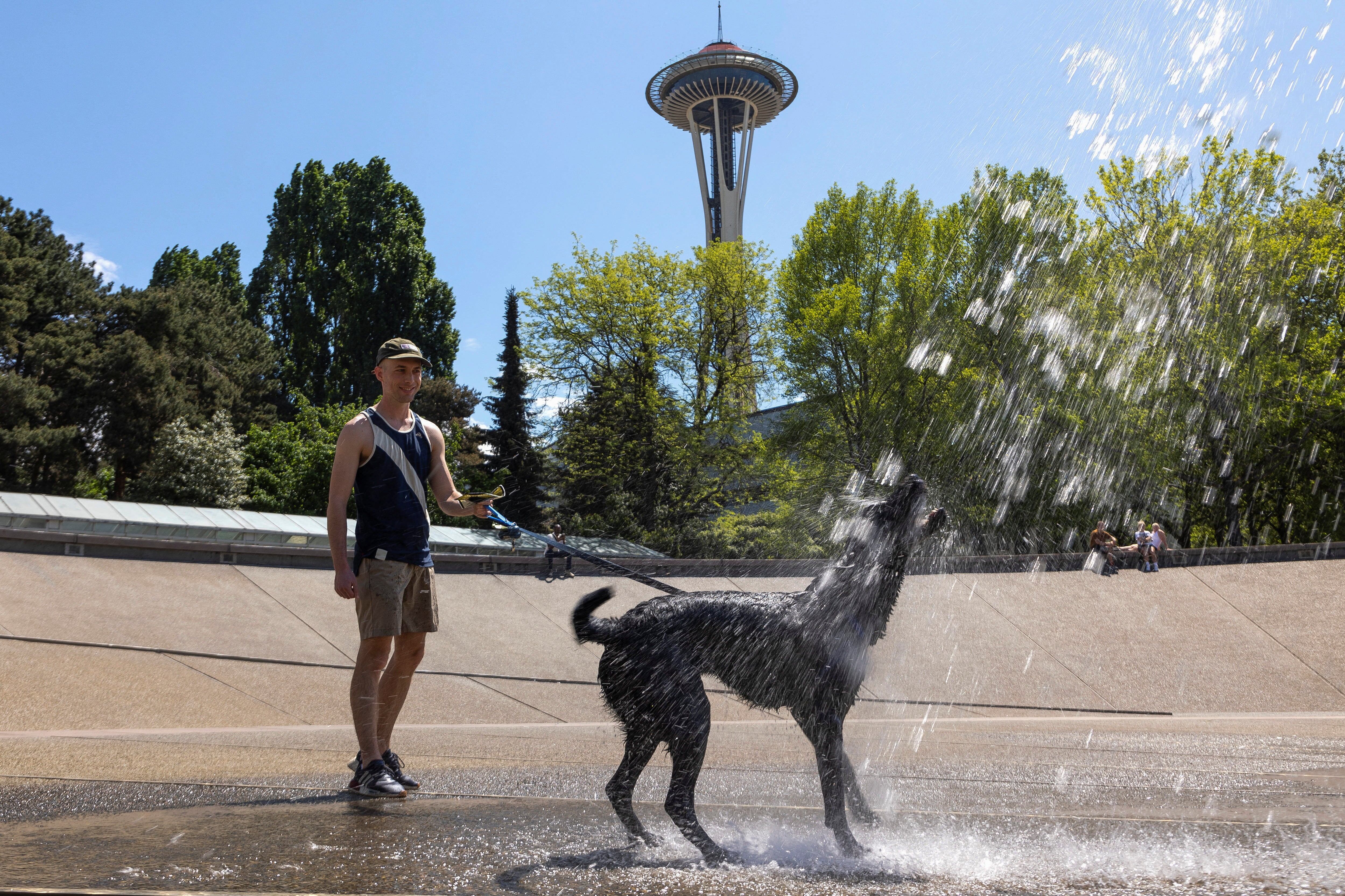 Ocasionalmente pueden presentarse algunas nevadas en Seattle durante el invierno, especialmente en las áreas más altas (REUTERS/Matt Mills McKnight)
