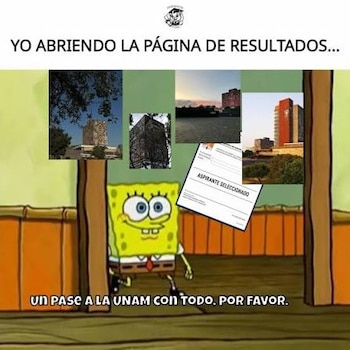 memes UNAM