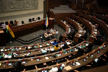 Congresistas bolivianos (AP Foto/Juan Karita)