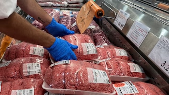 Primero pasos de la nueva