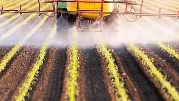 Pesticidas relacionados con el aumento del riesgo de ELA según una revisión