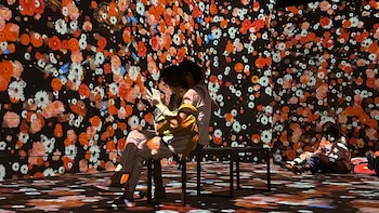 Monet cobra vida en el