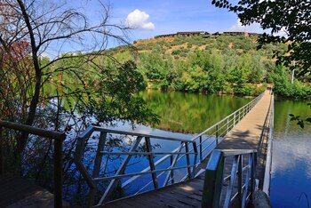 Tabla de la Yedra, en
