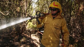 Desde el gobierno nacional movilizaron