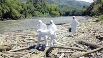 Encontraron un cuerpo sin cabeza y en avanzado estado de descomposición en un río: lo identificarían por los tatuajes