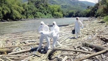 Un cuerpo en avanzado deterioro fue encontrado a la orilla del río Cauca, lo que provocó preocupación entre los habitantes, mientras los peritos adelantan las tareas para esclarecer su origen y posible causa de muerte - Policía Nacional