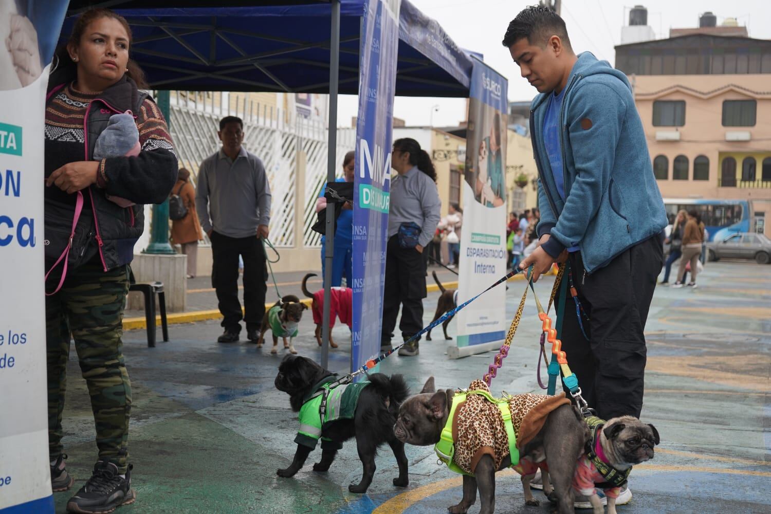 Se realizó en el distrito de Surco. (Foto: Muni Surco)