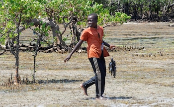 La COP31 se realizará en noviembre en Antalya, Turquía, en un contexto de urgencia por los daños del cambio climático. (REUTERS/Monicah Mwangi)