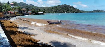 La descomposición del sargazo reduce