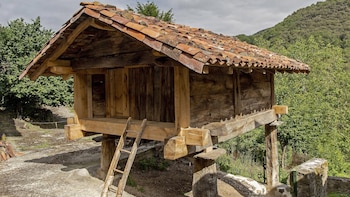 Los hórreos, declarados Manifestación Representativa del Patrimonio Cultural