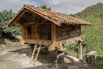 Imagen VVR7BH2RNBF5TISENSED5CPGNQ