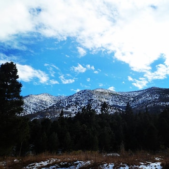 Bosques de Monterreal. (Tomada de