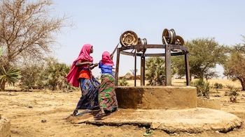 Cerca de 50 millones de