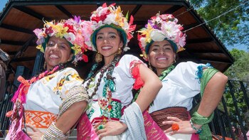 Como participar da flor mais