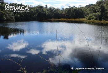 La Laguna de los Chirimollo