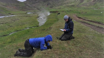 Bryndís Marteinsdóttir y Johan Ehrlén, coautores del estudio, realizando el trabajo de campo en Hengill (Islandia). (Katarina Fast Ehrlén/Universidad de Oviedo)