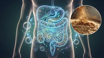 microbiota-avena