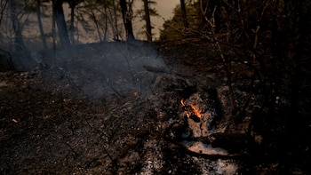 Alerta oficial por riesgo elevado de incendios forestales en el noreste de Estados Unidos en abril