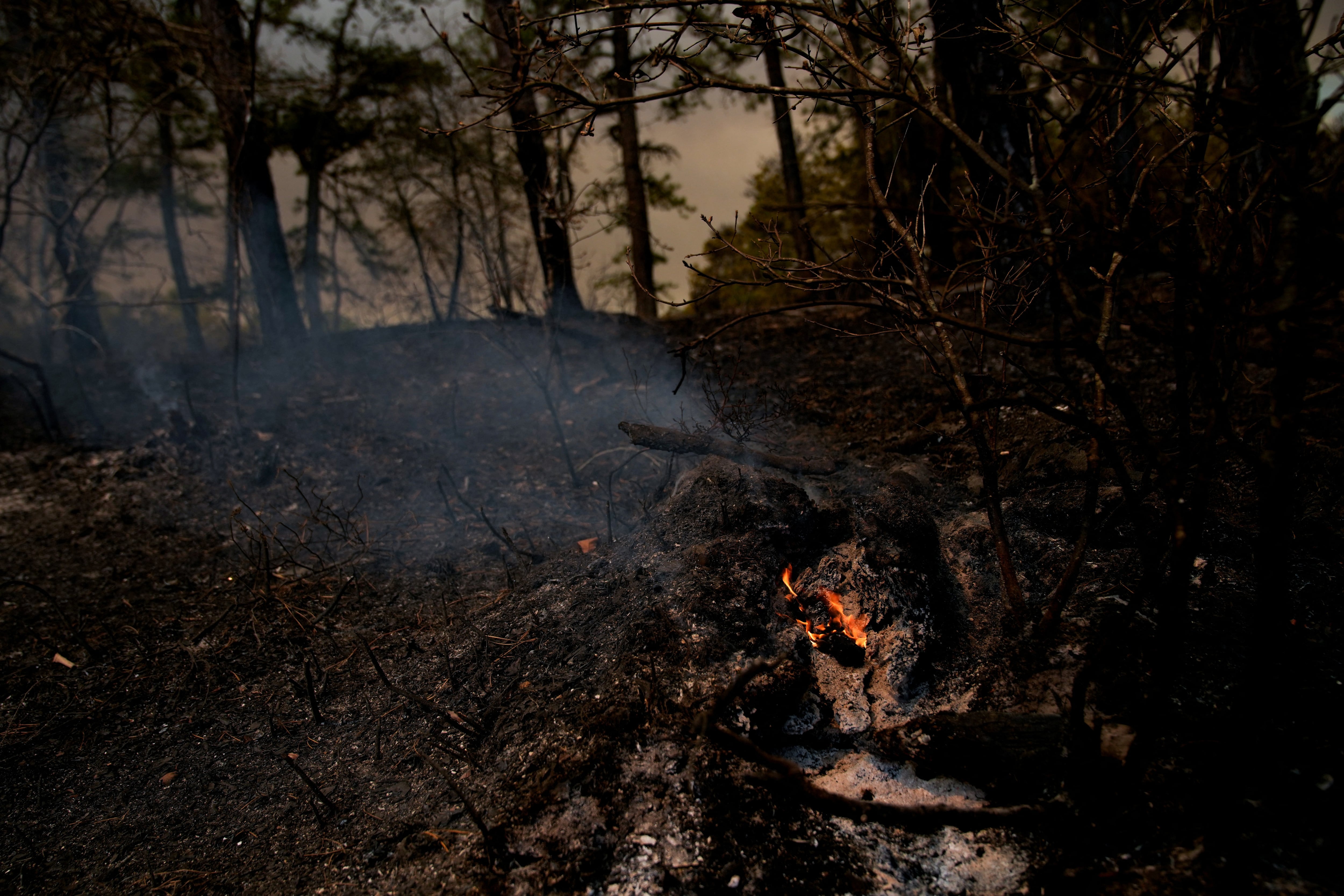 Alerta oficial por riesgo elevado de incendios forestales en el noreste de Estados Unidos en abril