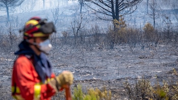 El incendio en La Mierla (Guadalajara) amenaza con convertirse en el peor de la historia de España, con 32.000 hectáreas arrasadas