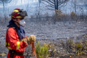 Efectivos de la Unidad Militar de Emergencias (UME) trabajan en el incendio de La Mierla. (EFE/Nacho Izquierdo)