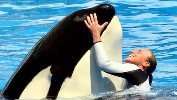 Trabajó como voluntaria en un