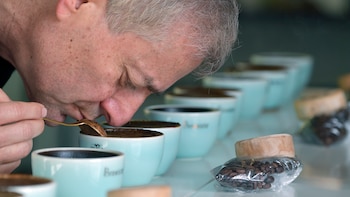 Subasta mundial del café de alta gama de Panamá supera los $3 millones en ventas