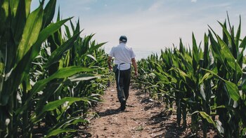 El amplio programa genético a