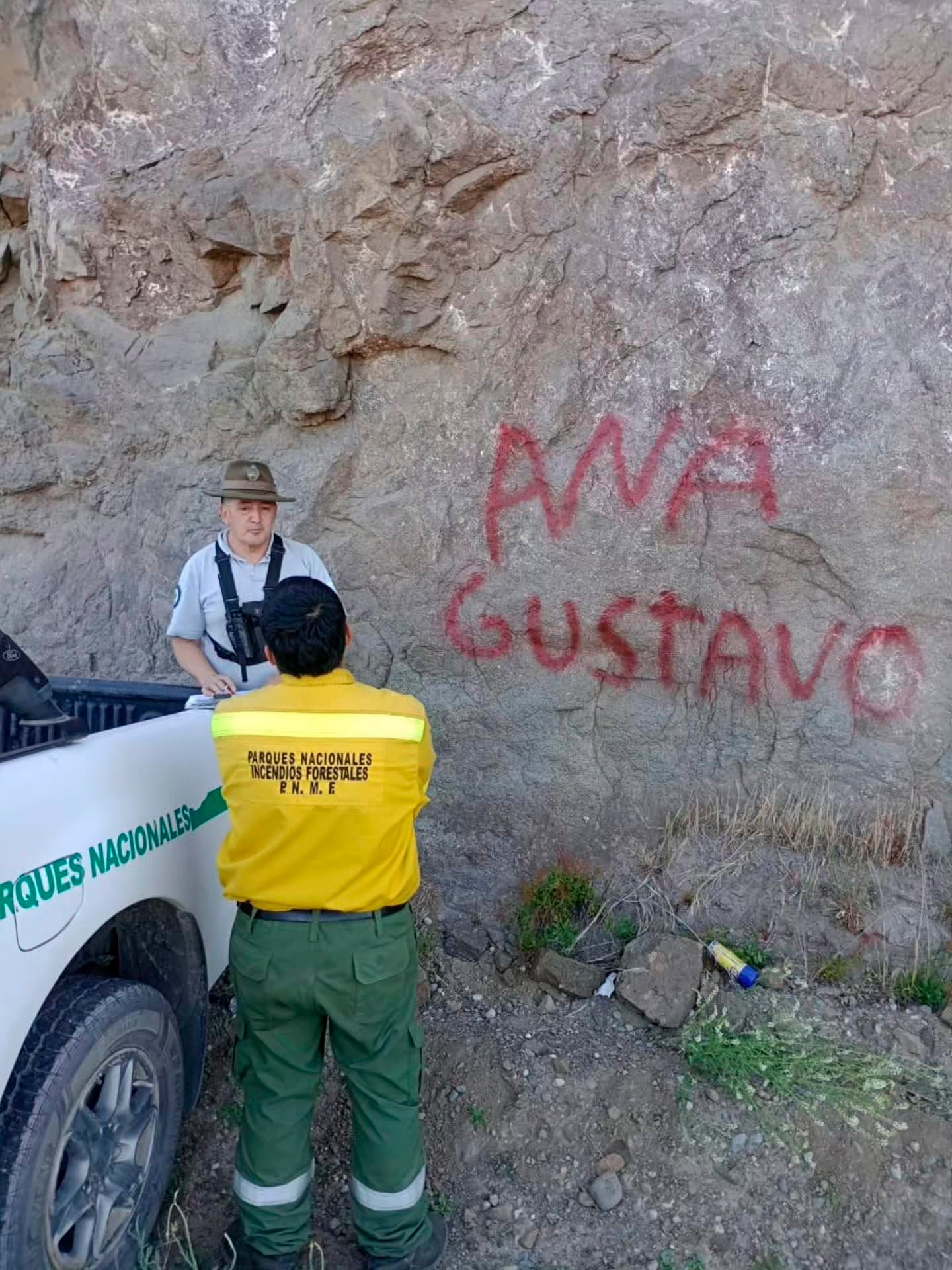 La empresa de transporte involucrada mostró predisposición y comprometió tareas de remediación ambiental en el Parque Nahuel Huapi tras identificar a su chofer en el incidente