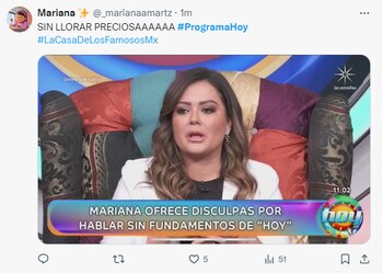 memes - Mariana Echeverria, progrma