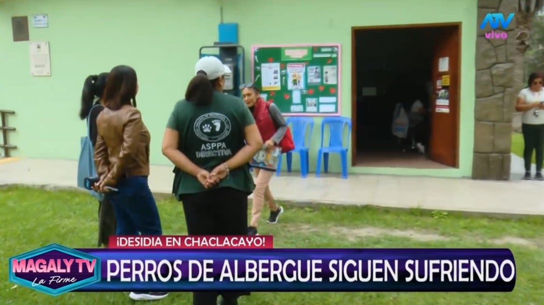 Animalistas esperaron al alcalde Sergio Baigorria desde temprano y personal de limpieza llegó casi al mediodía. ATV/ Magaly TV La Firme.