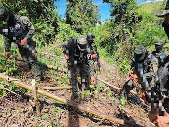 El operativo fue realizado por la 110 Brigada de Infantería y contó con el apoyo de la Dirección de Lucha Contra el Narcotráfico del Ministerio Público./(Secretaría de Estado de Defensa Nacional)