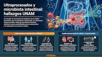 Una ilustración de órganos digestivos y bacterias interactuando con alimentos ultraprocesados, como hamburguesa, pizza y refrescos, junto a texto informativo de la UNAM.