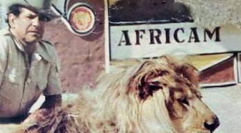 La trágica muerte del capitán