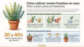Infografía sobre el cultivo de romero: planta en maceta, mano cortando rama con tijeras, envase de hormona, esquejes en vaso con agua y en tierra, calendarios de días.