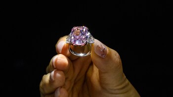 “El Sakura” batió un récord