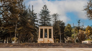 Dueña de una perrita en