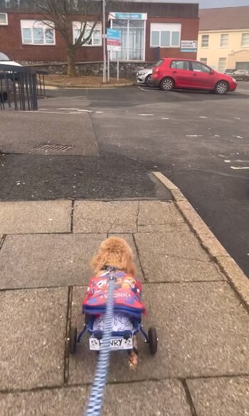 Henry presume a través de